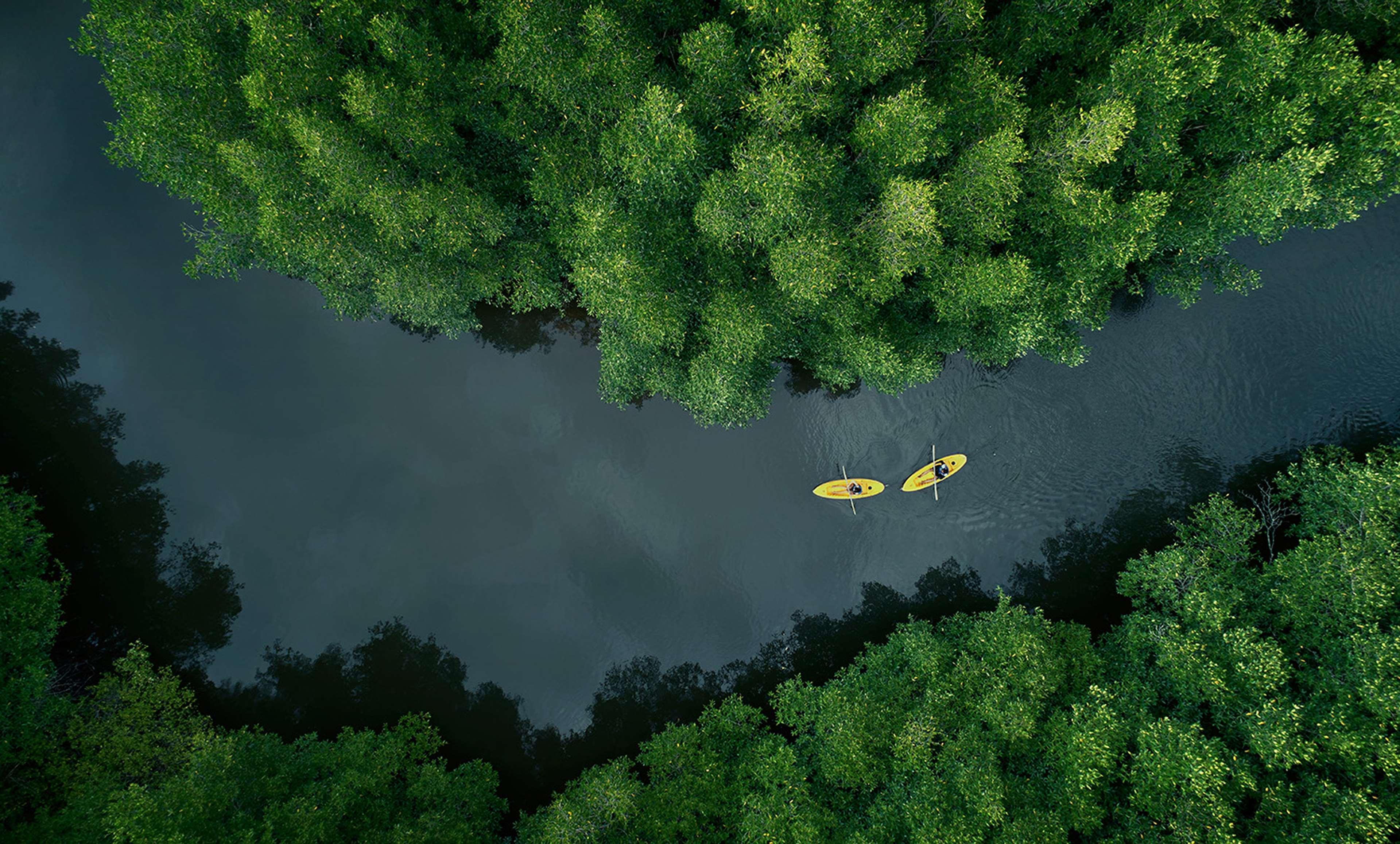 منتجع وسبا شانغريلا - لا راسا ريا كوتا كينابالو المظهر الخارجي الصورة Aerial view of the river
